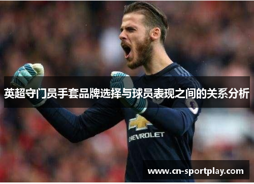 英超守门员手套品牌选择与球员表现之间的关系分析